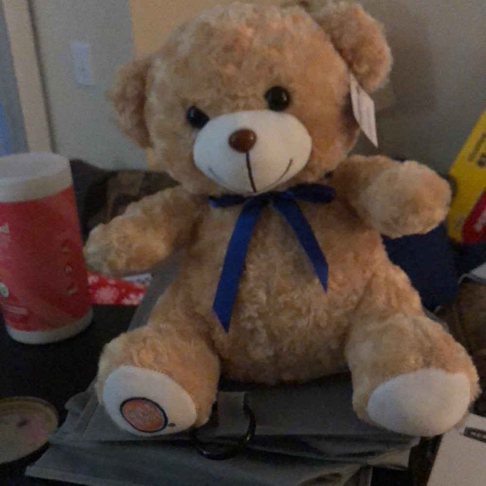Teddy Bear